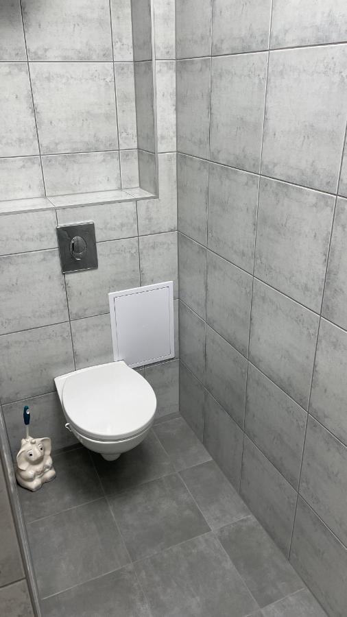 Simba Apartment B Smarjeske Toplice Ngoại thất bức ảnh